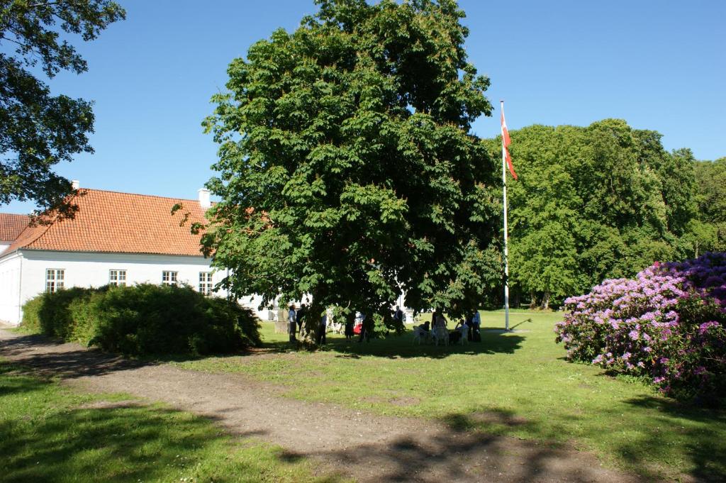 81425332.jpg