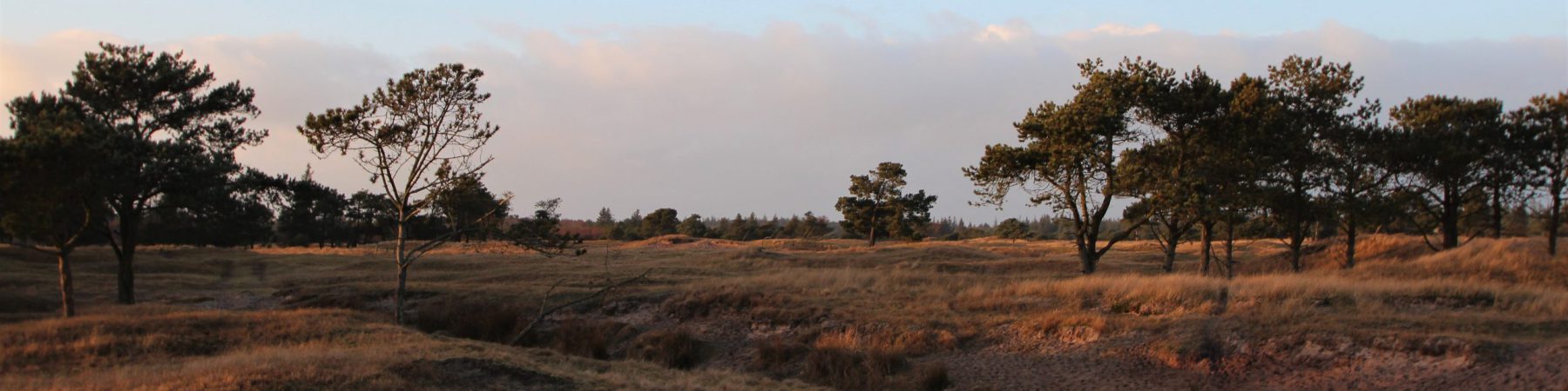 Røgegård reservat